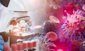 (Compatibile con Zstudio/Shutterstock)